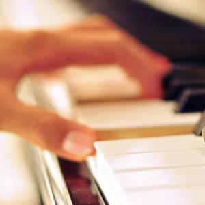 簧片高清在线观看
