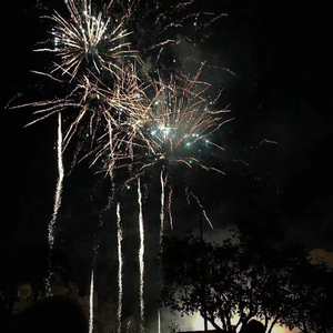 簧片高清在线观看
