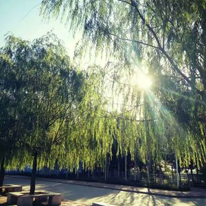 簧片高清在线观看
